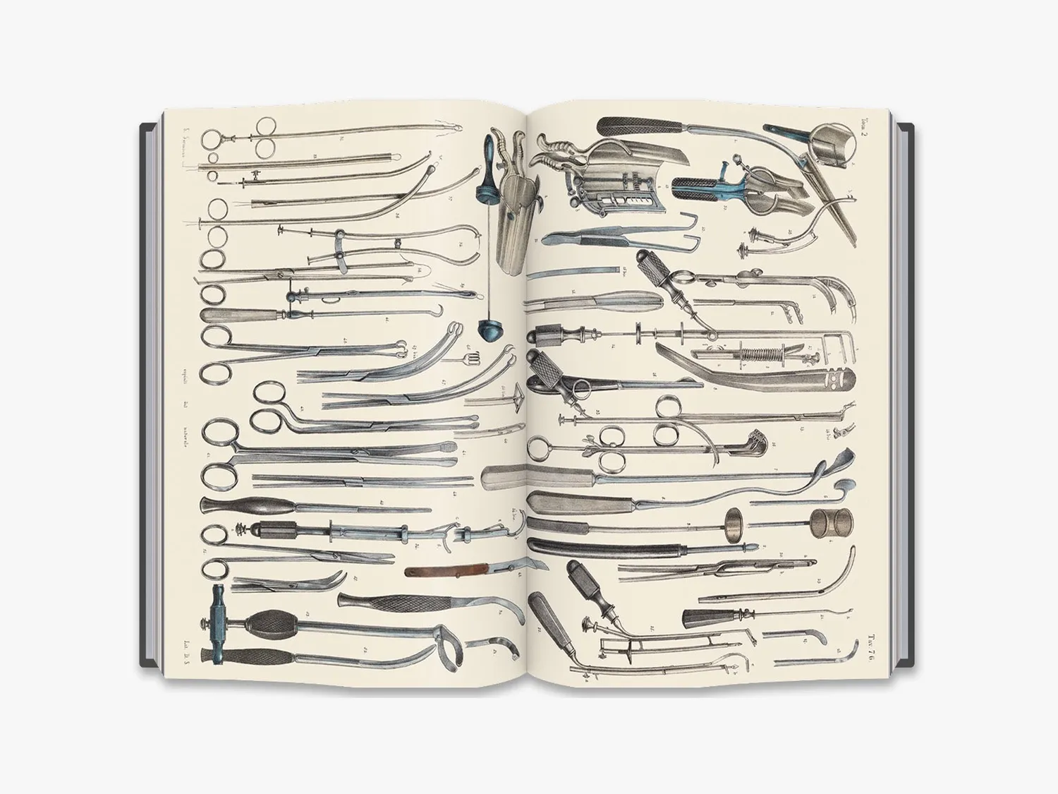 Thames & Hudson Crucial Interventions bog anatomi