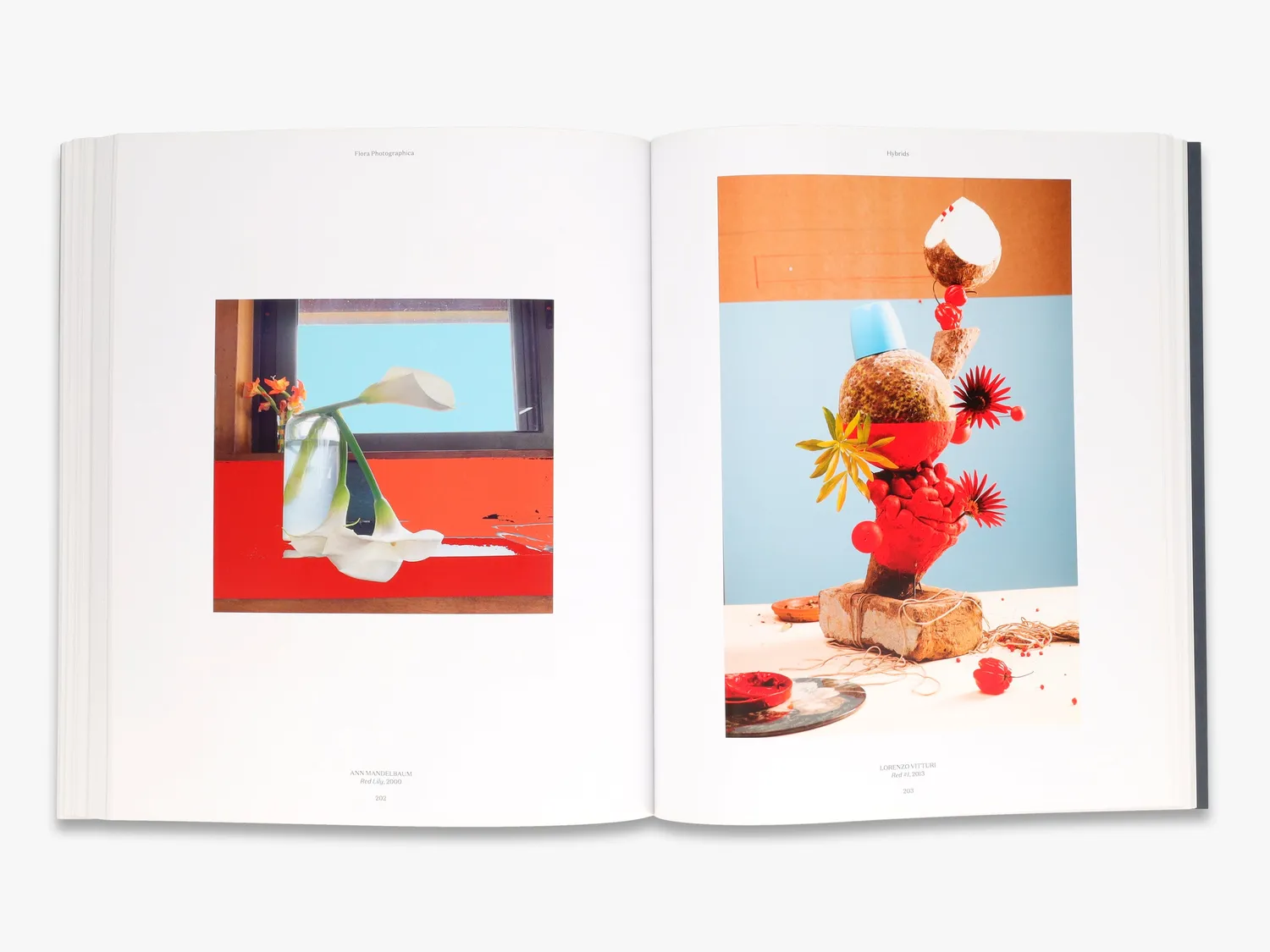 Thames & Hudson Flora Photographica fotobog blomster illustreret
