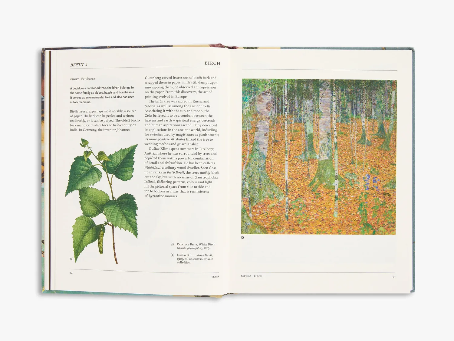 Thames & Hudson Secret Language Plants botanikbog illustreret