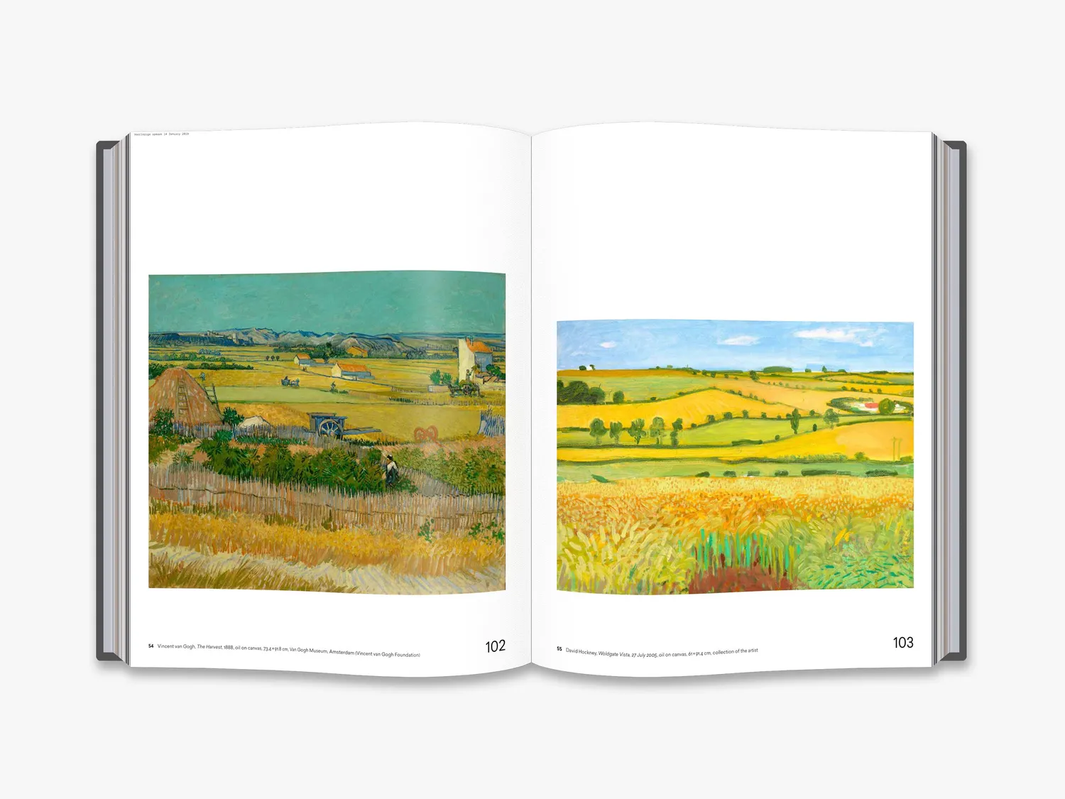 Thames & Hudson Hockney – Van Gogh: The Joy of Nature kunstbog