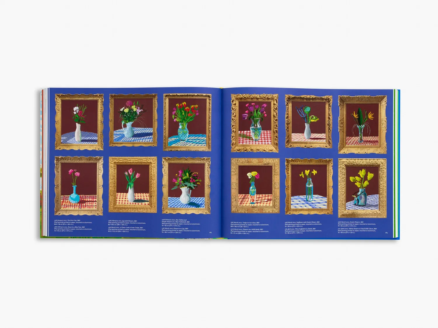 Thames & Hudson David Hockney bog stor illustreret