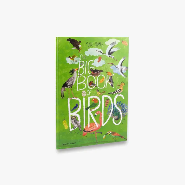 Thames & Hudson The Big Book of Birds børnebog fugle