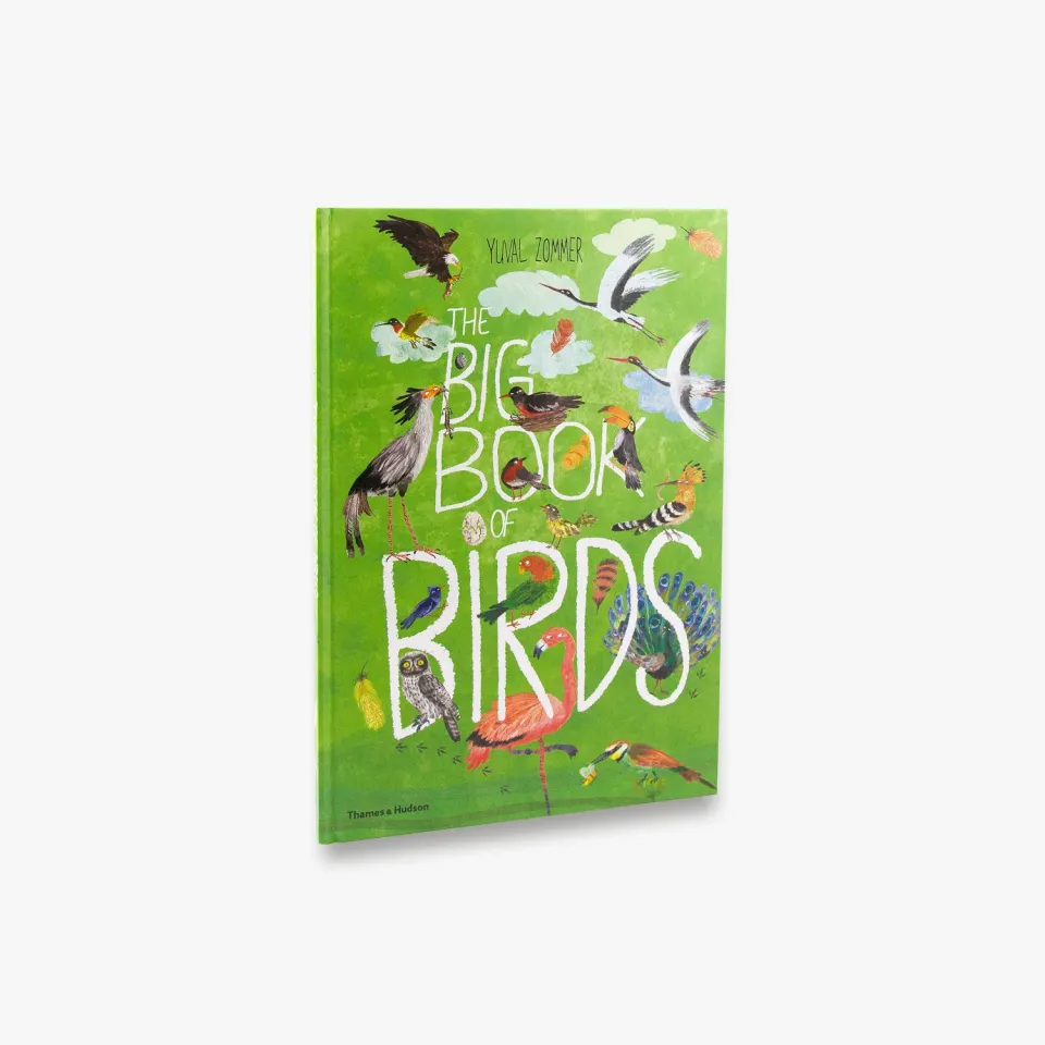 Thames & Hudson The Big Book of Birds børnebog fugle