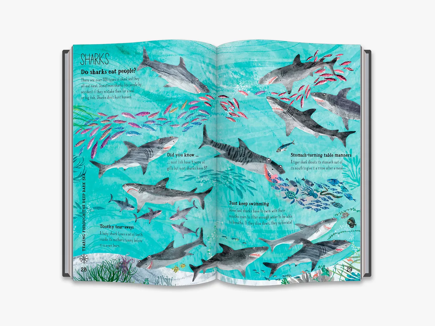 Thames & Hudson The Big Book of the Blue børnebog havdyr