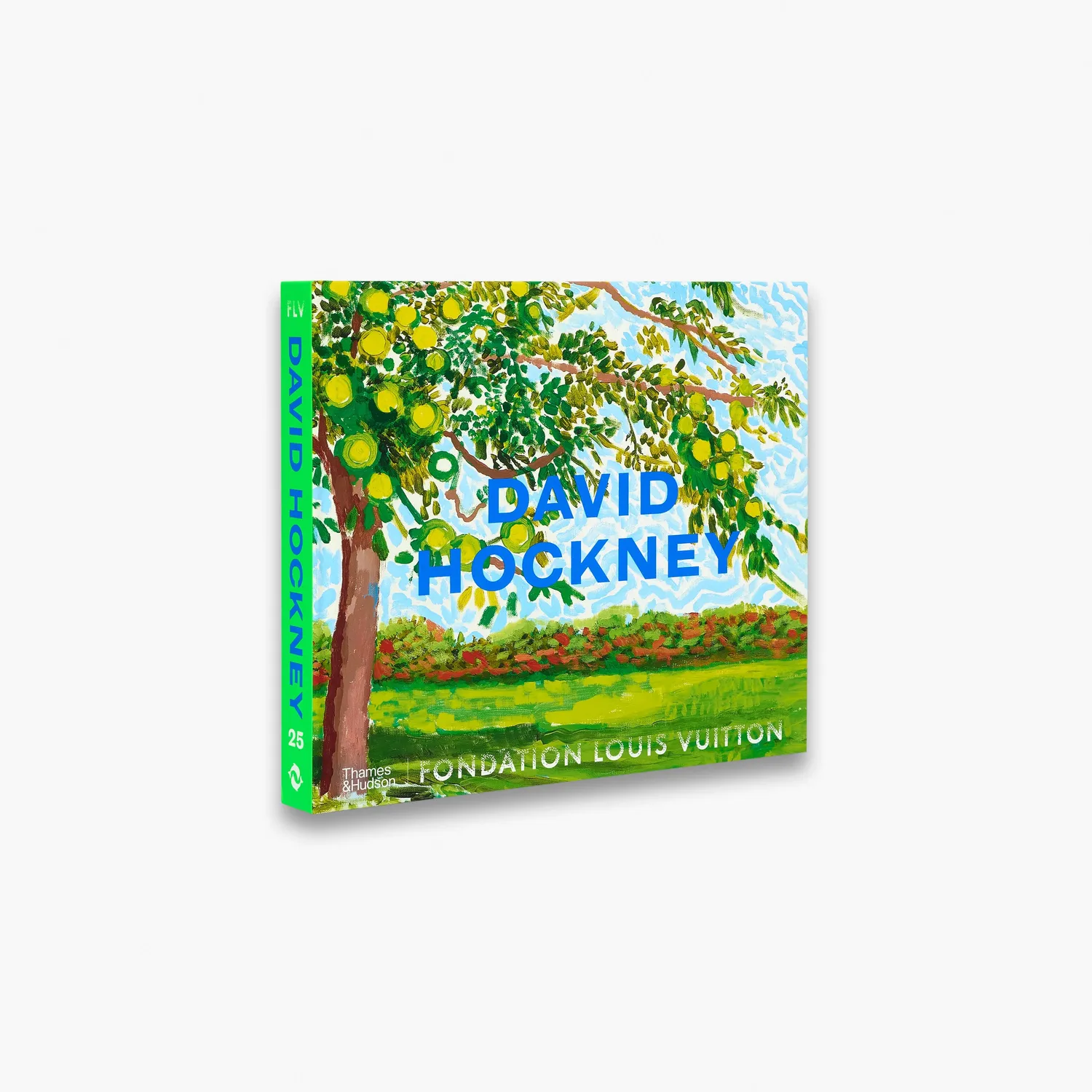 Thames & Hudson David Hockney bog stor illustreret