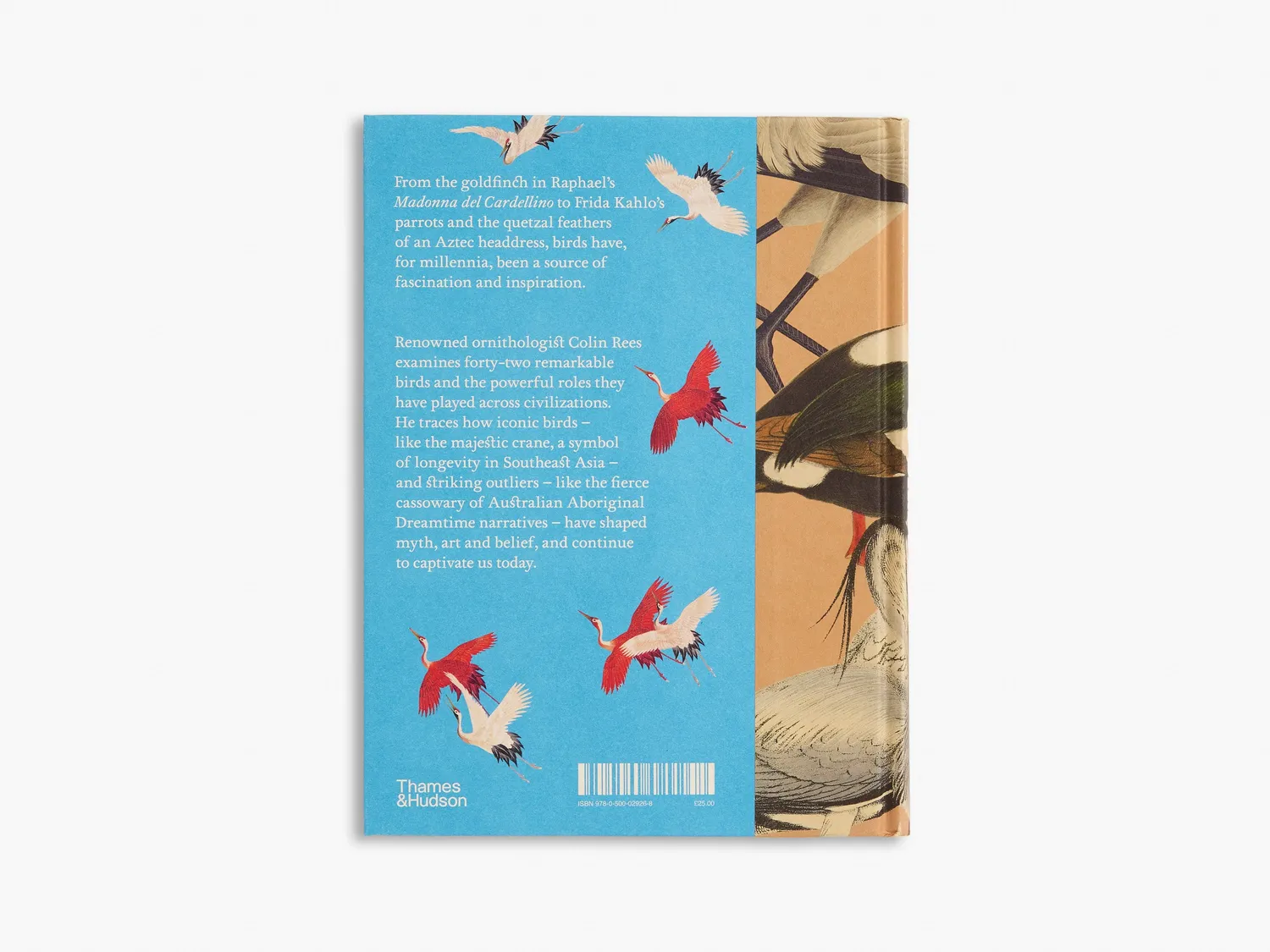 Thames & Hudson The Secret Language of Birds bog – symbolik