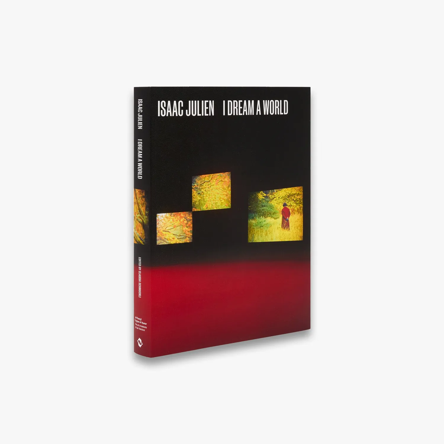 Thames & Hudson Isaac Julien kunstbog videokunst