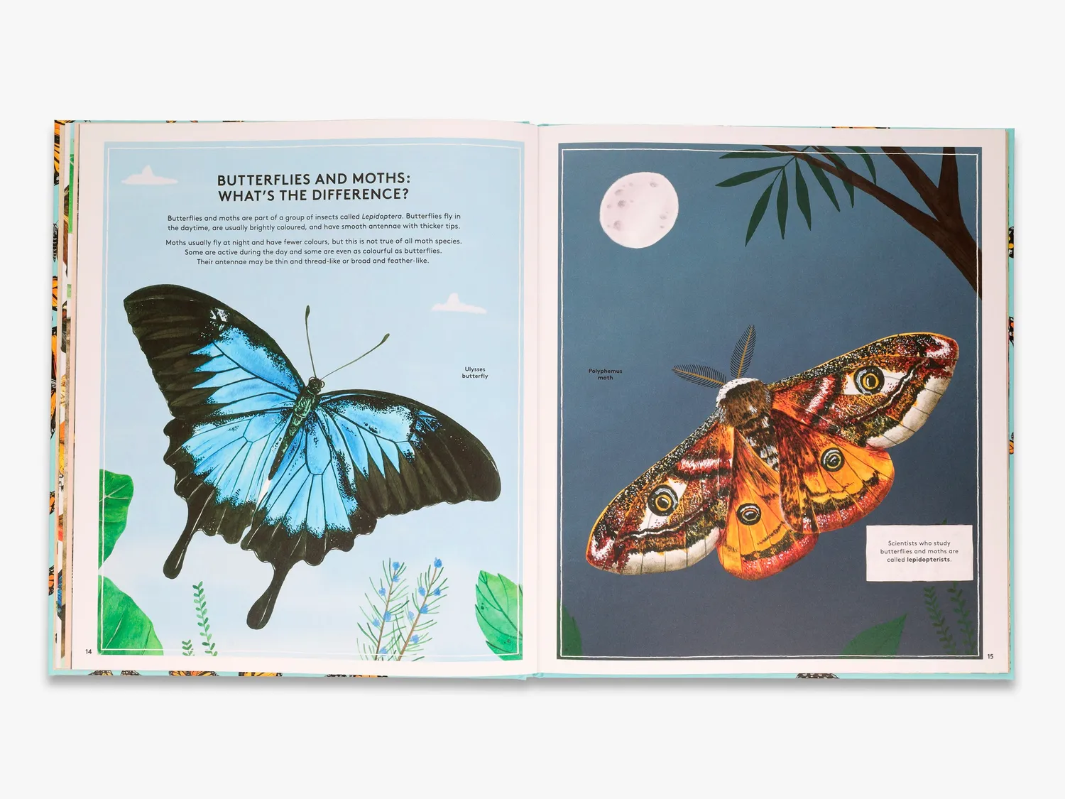 Thames & Hudson Secret Life of Butterflies bog sommerfugle