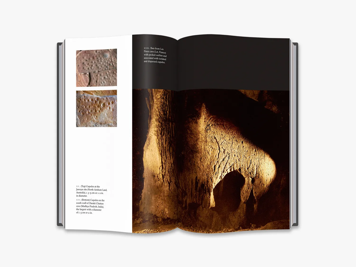 Thames & Hudson The First Artists bog – stenalderkunst