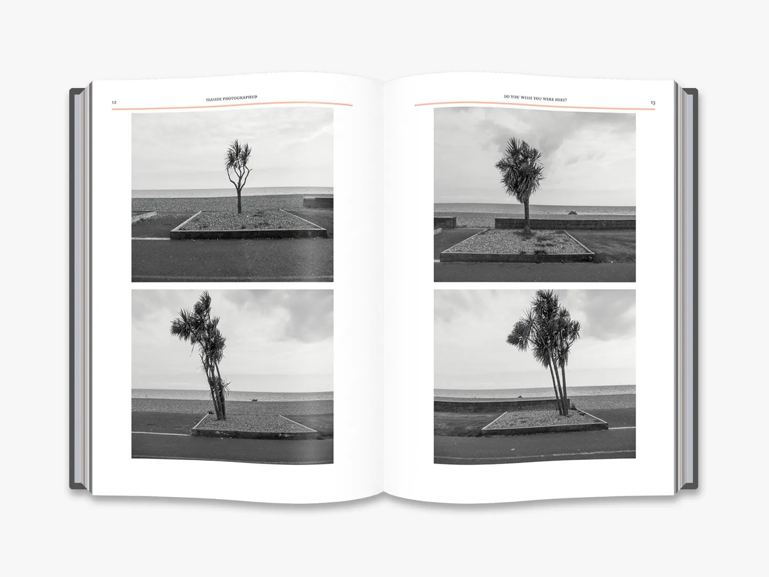 Thames & Hudson Seaside Photographed fotobog britisk kyst