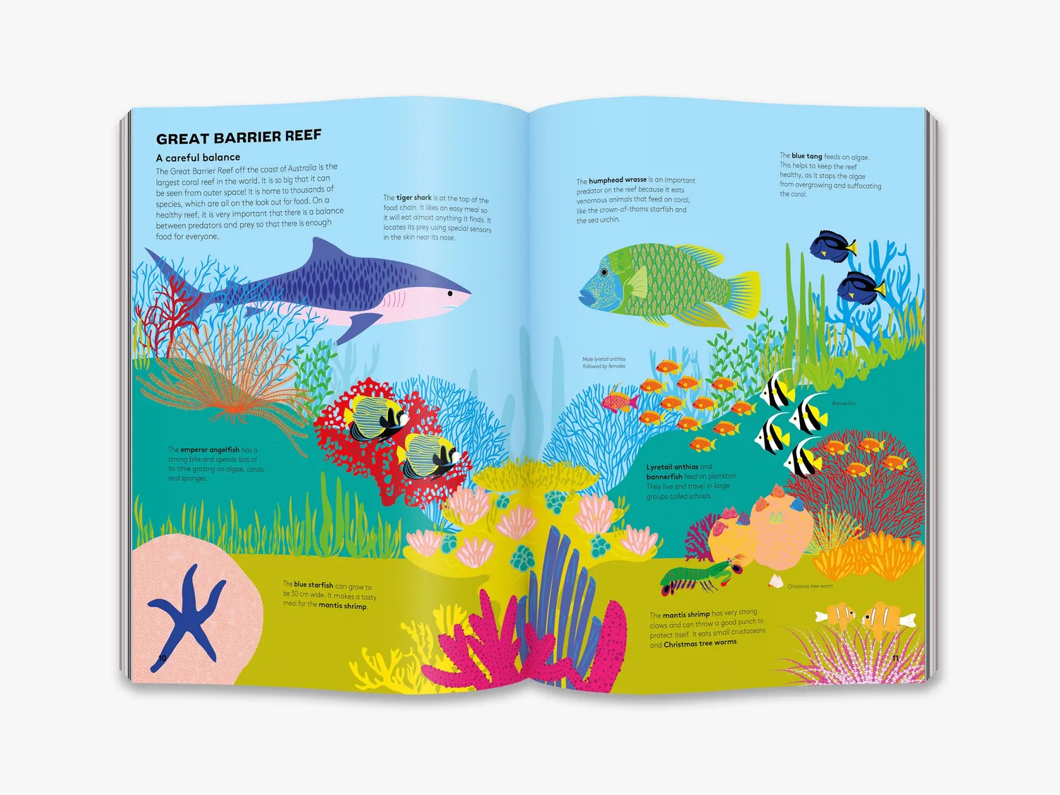 Thames & Hudson Dart and Dive across the Reef børnebog koraller