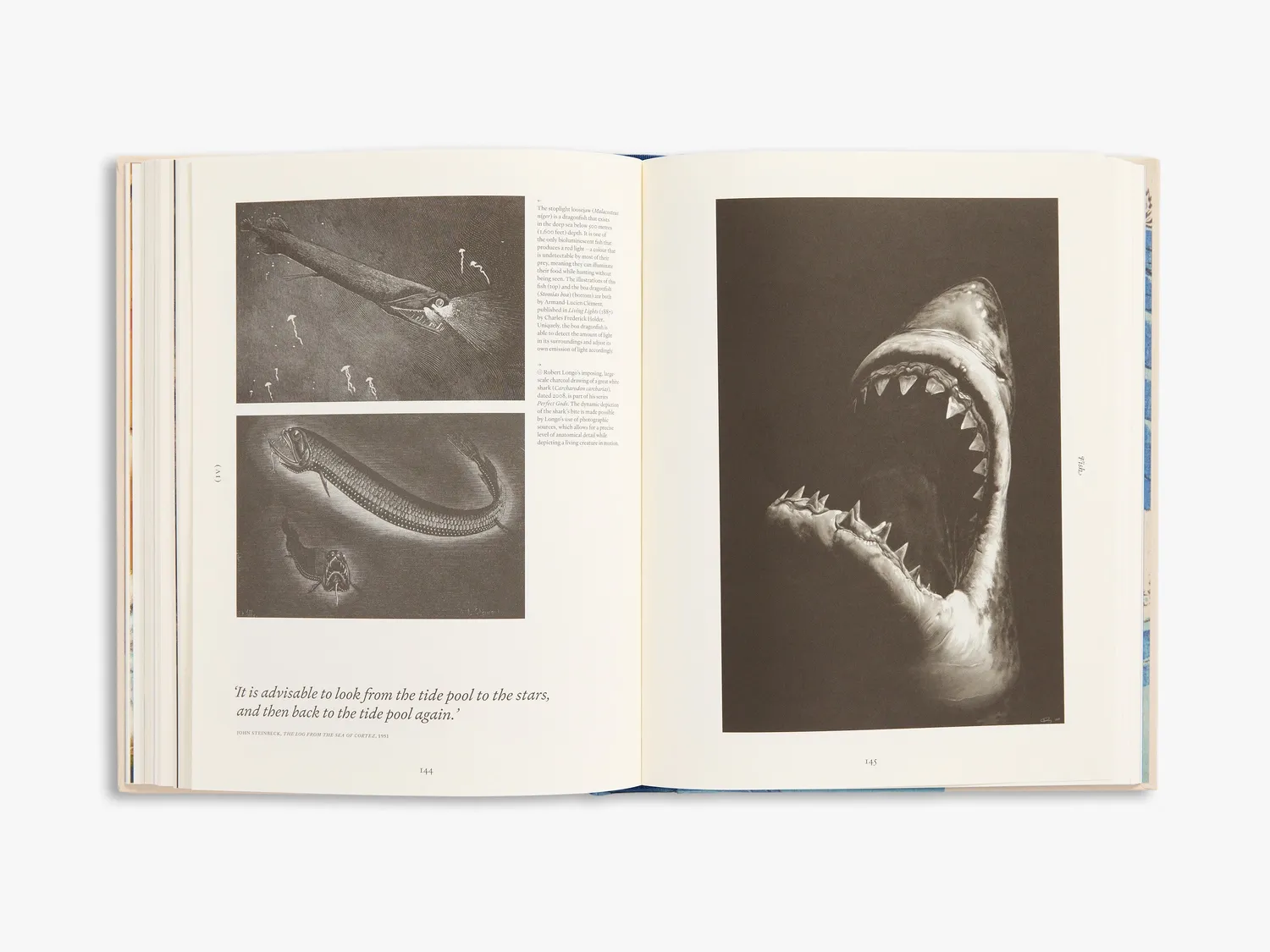 Thames & Hudson Ark billedbog om natur og arter