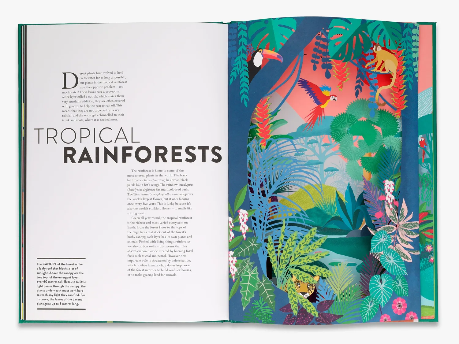 Thames & Hudson Plant Life bog illustreret fakta