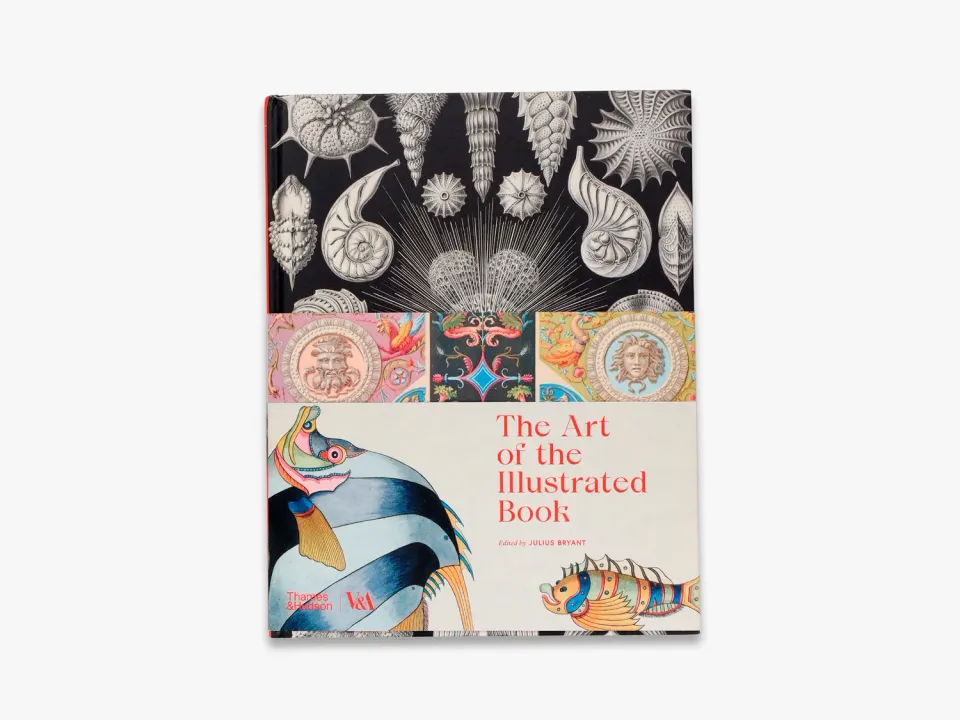 Thames & Hudson Art of the Illustrated Book bog V&A
