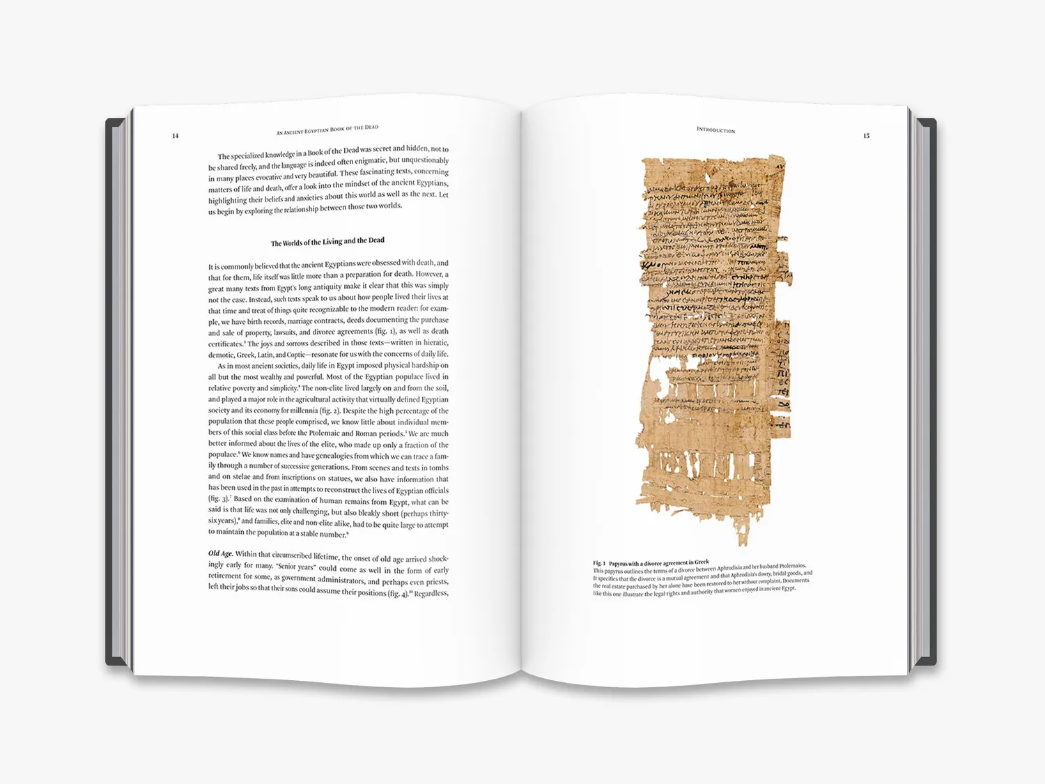 Thames & Hudson An Ancient Egyptian Book of the Dead bog oldtid