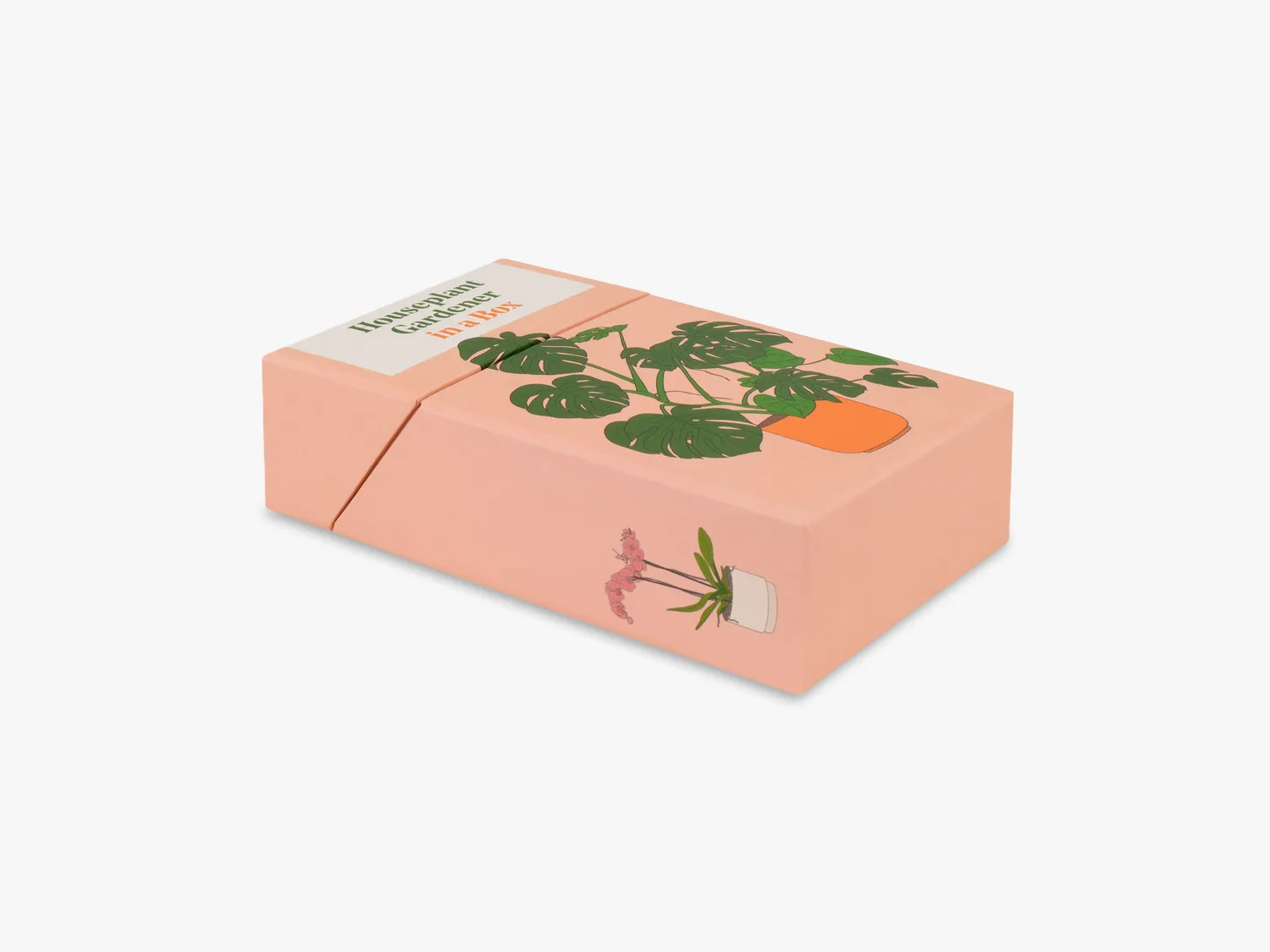 Thames & Hudson Houseplant Gardener in a Box kortbox