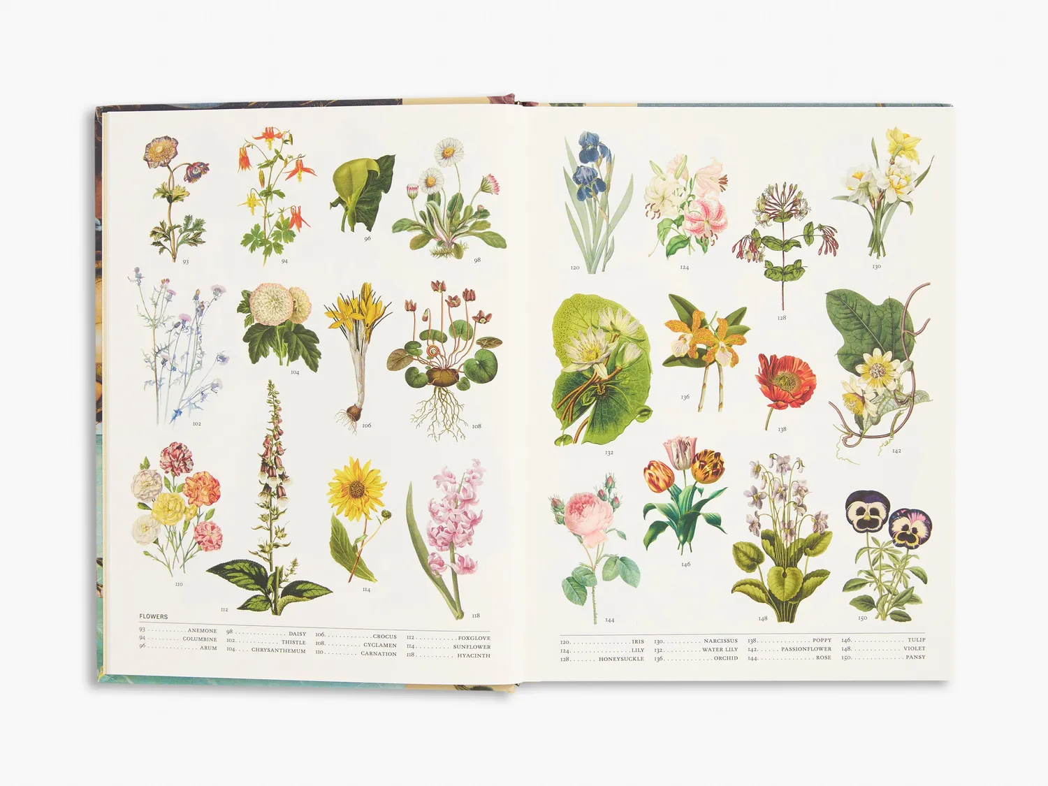 Thames & Hudson Secret Language Plants botanikbog illustreret