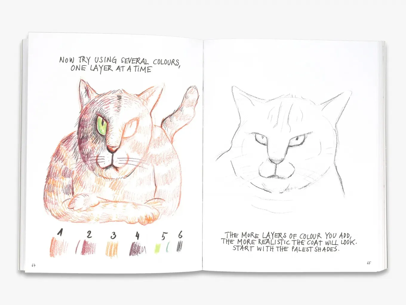 Thames & Hudson I Can Draw Cats bog illustreret katte