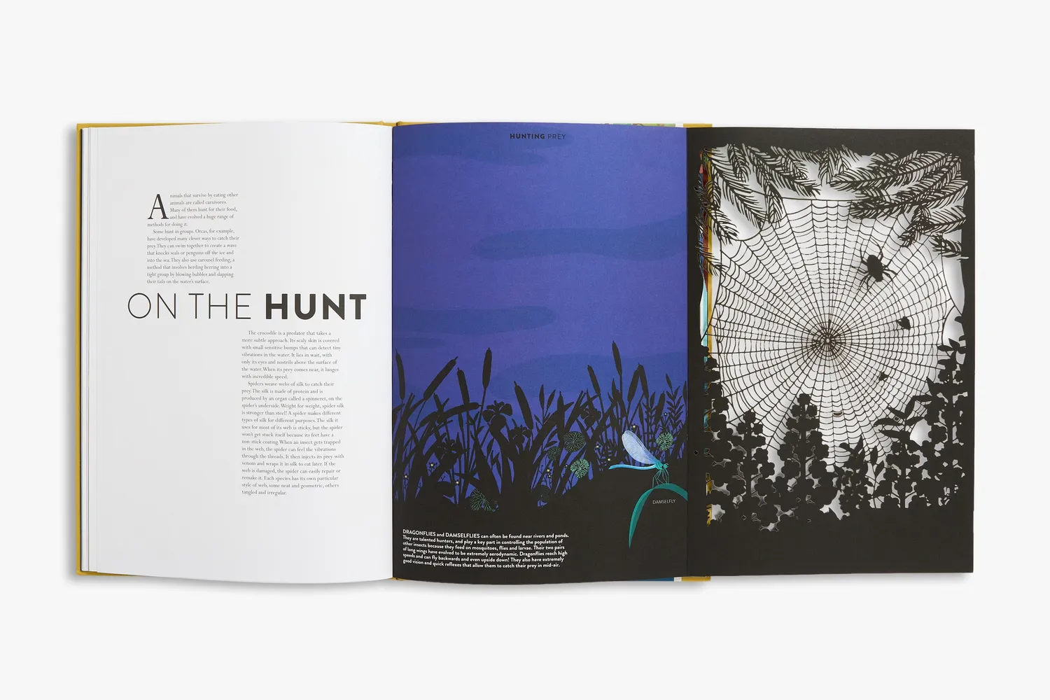 Thames & Hudson Animal bog Hélène Druvert illustreret
