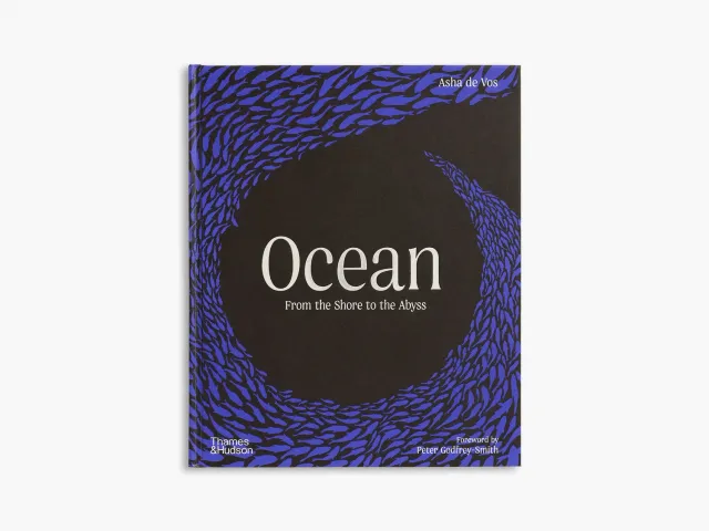 Thames & Hudson Ocean bog havets dybder illustreret