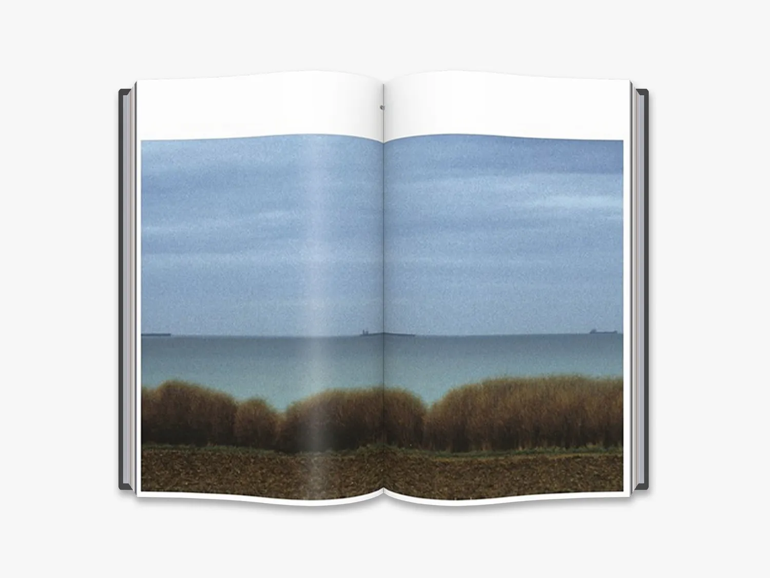 Thames & Hudson Harry Gruyaert Edges fotobog