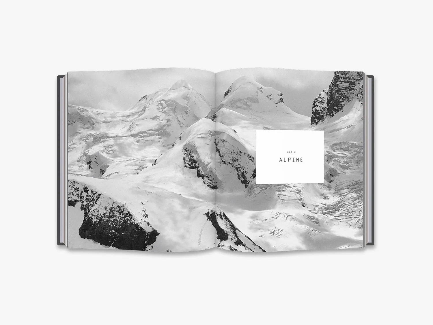 Thames & Hudson New Swiss Architecture bog arkitektur illustreret