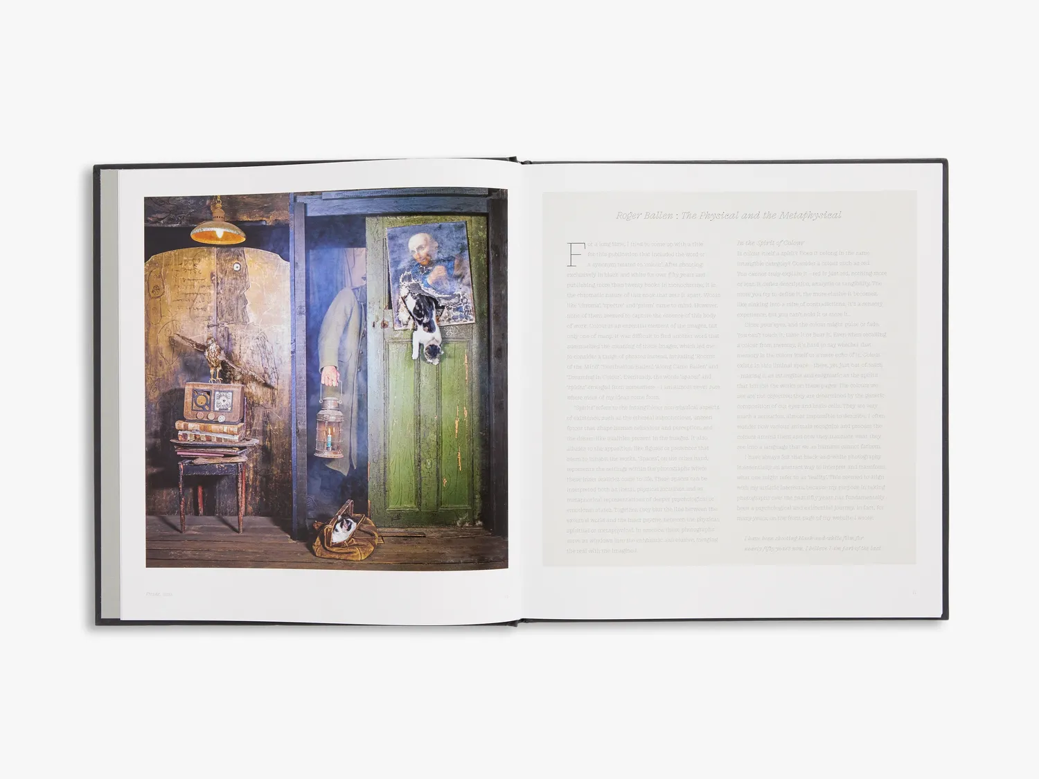 Thames & Hudson Roger Ballen Spirits Spaces fotobog farve