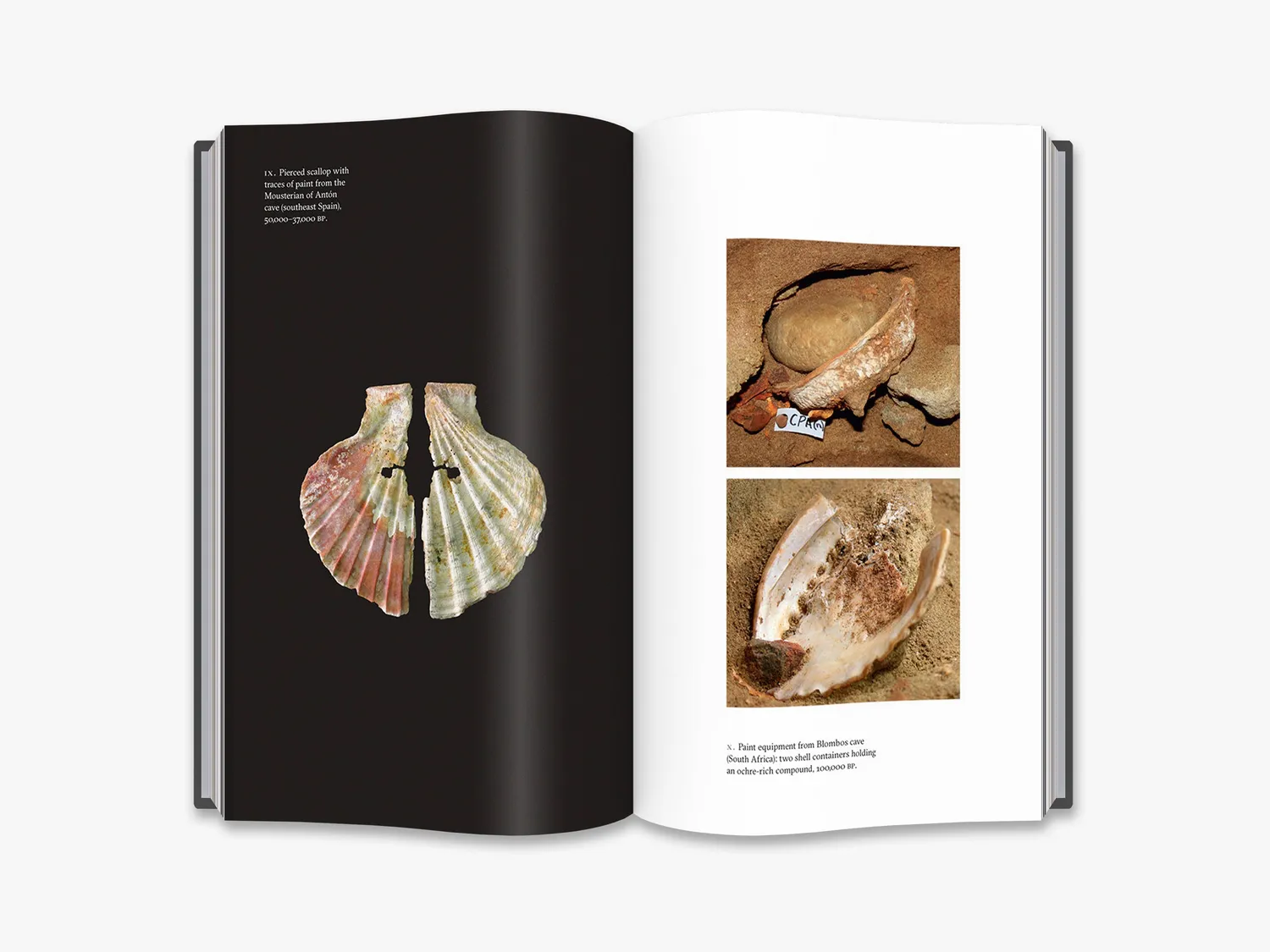 Thames & Hudson The First Artists bog – stenalderkunst