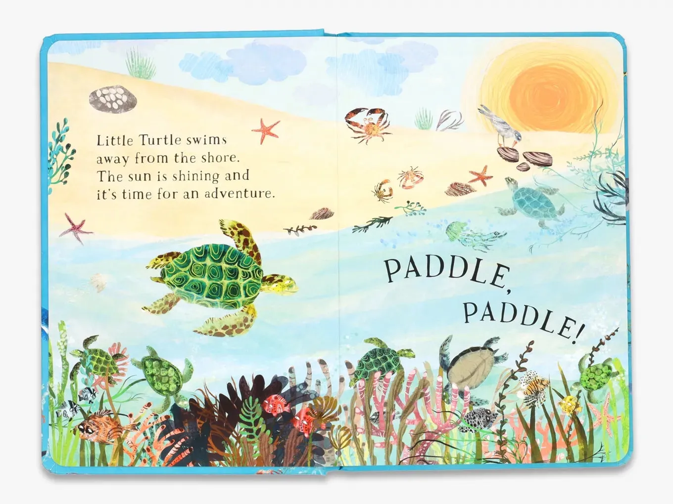 Thames & Hudson Little Turtle's Blue papbog havdyr