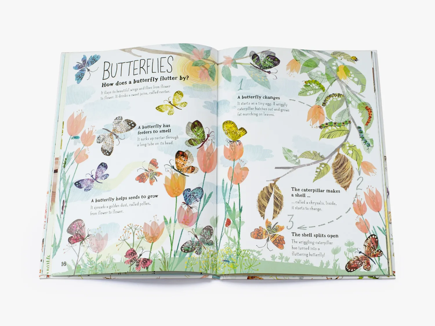 Thames & Hudson The Big Book of Bugs børnebog