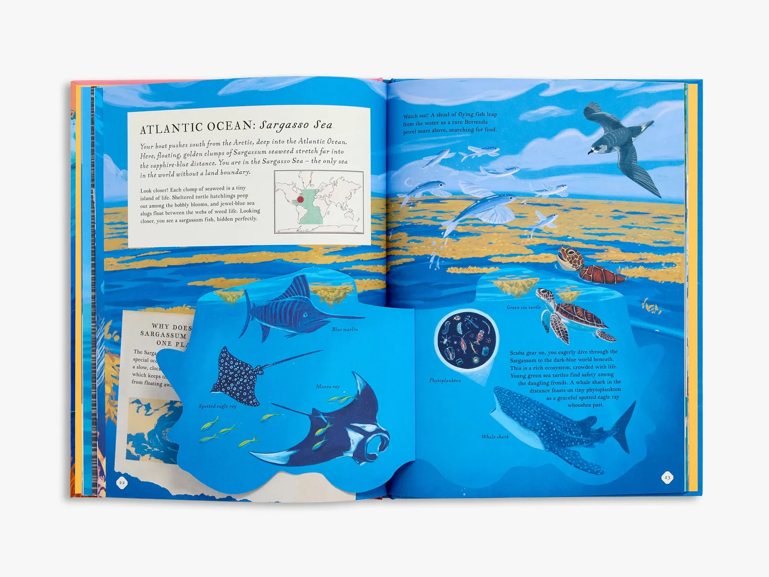 Thames & Hudson There's an Ocean in This Book børnebog om havet