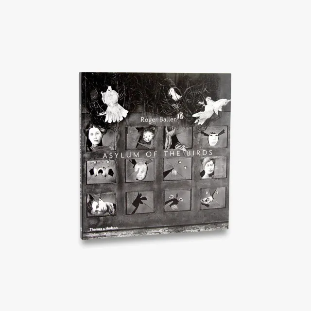 Thames & Hudson Asylum of the Birds fotobog – Ballen