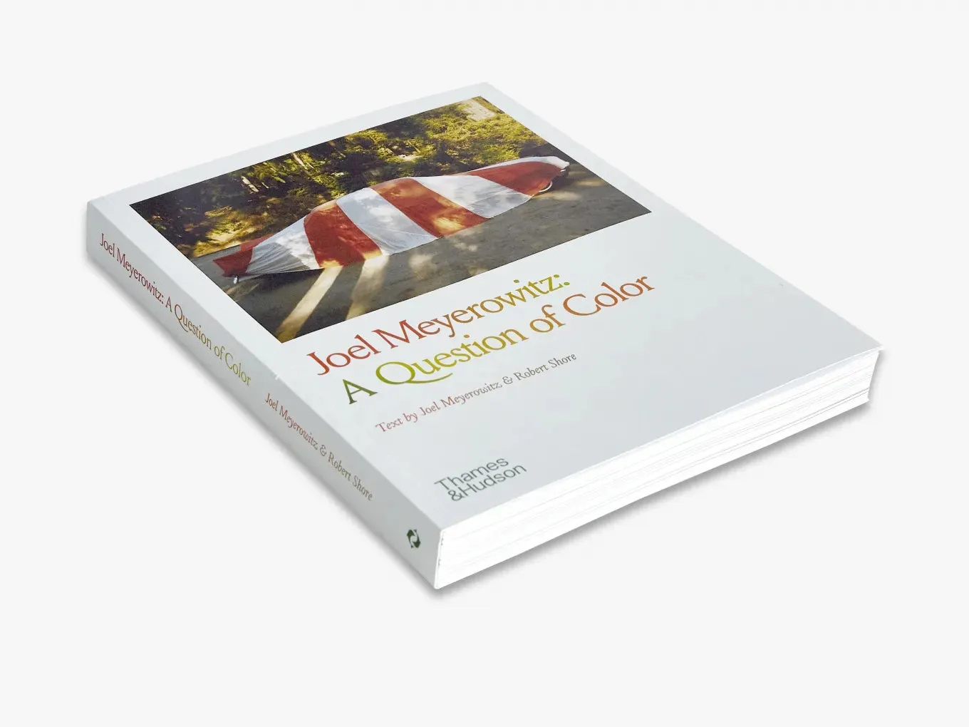 Thames & Hudson Meyerowitz A Question of Color fotobog