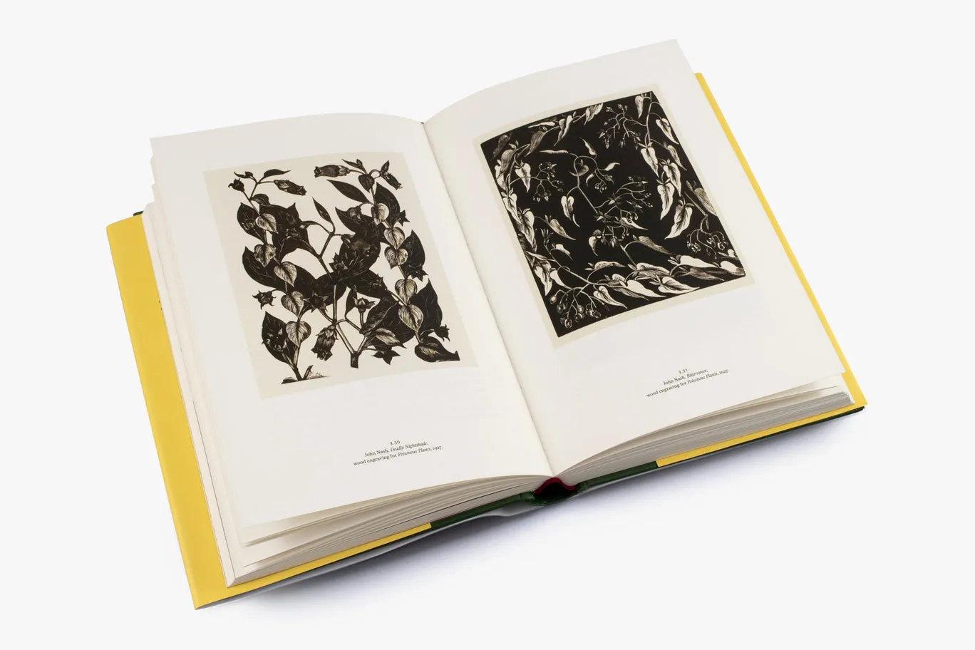 Thames & Hudson John Nash bog biografi landskabsmaleri