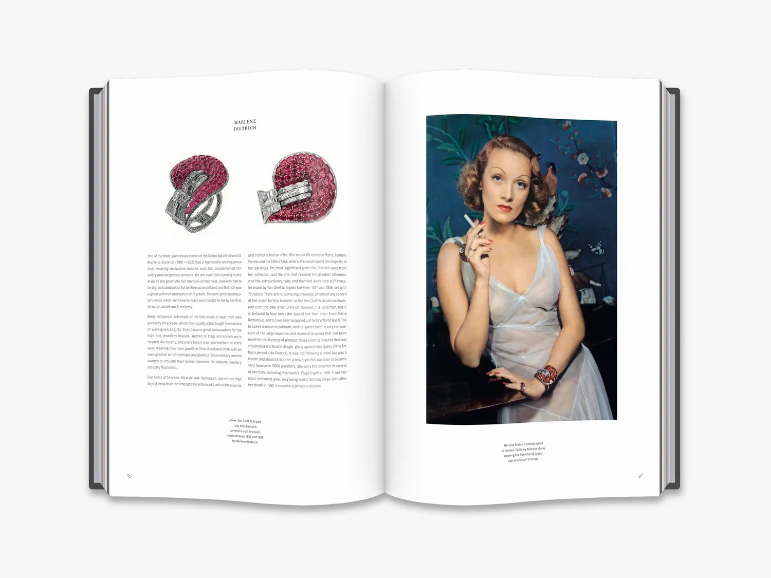 Thames & Hudson Ruby smykkebog rubiner illustreret