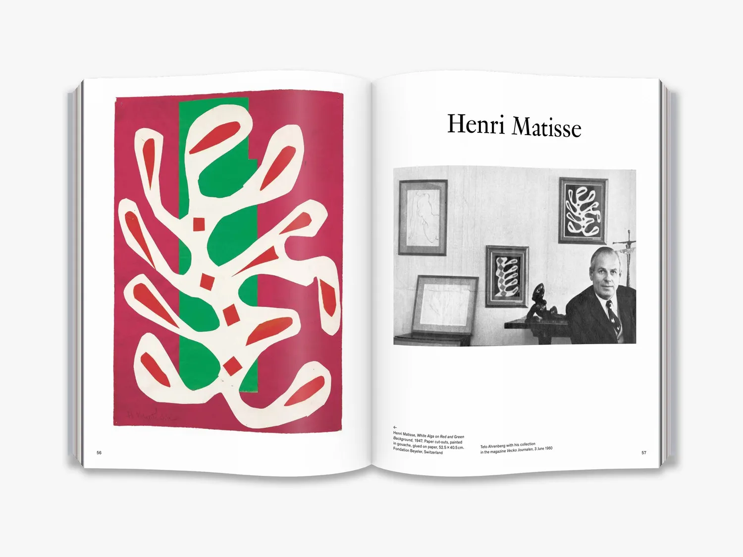Thames & Hudson Living with Matisse Picasso kunstbog