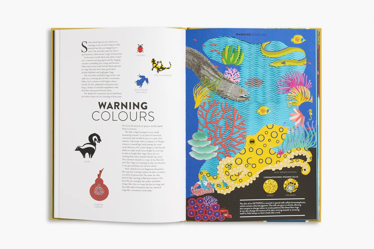 Thames & Hudson Animal bog Hélène Druvert illustreret