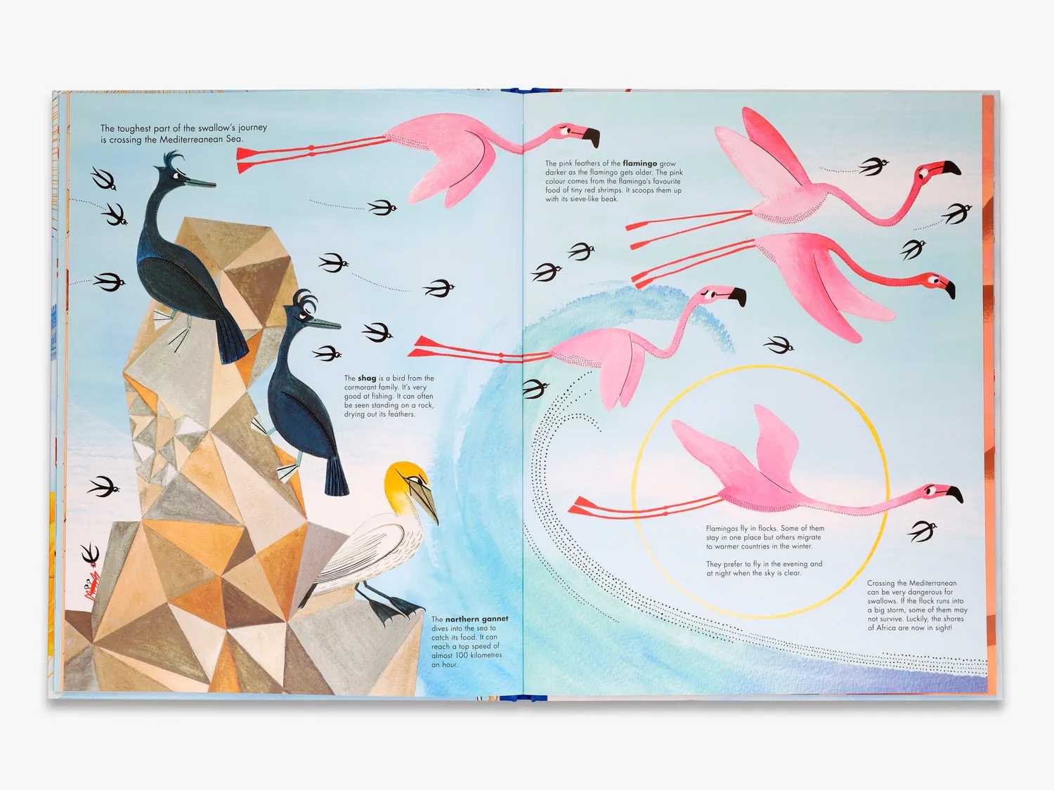 Thames & Hudson 1001 Birds børnebog fugle