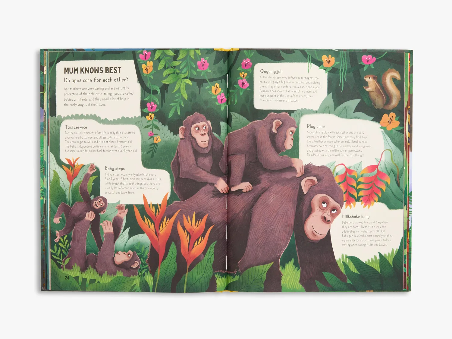 Go Wild Do Gorillas Eat Bananas børnebog aber