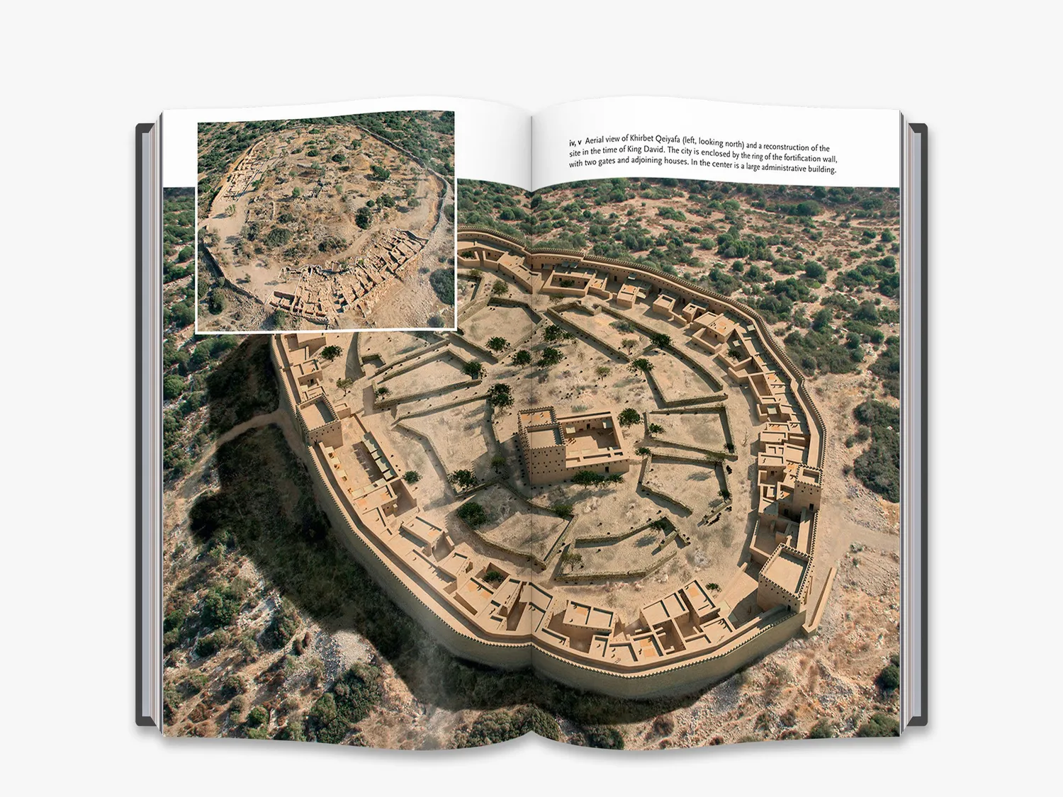 Thames & Hudson In the Footsteps of King David fagbog arkæologi
