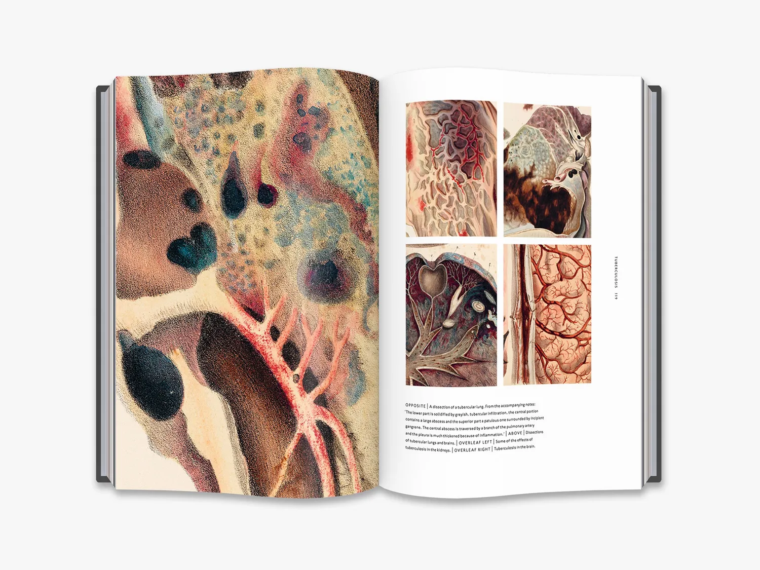 Thames & Hudson The Sick Rose bog medicinhistorie