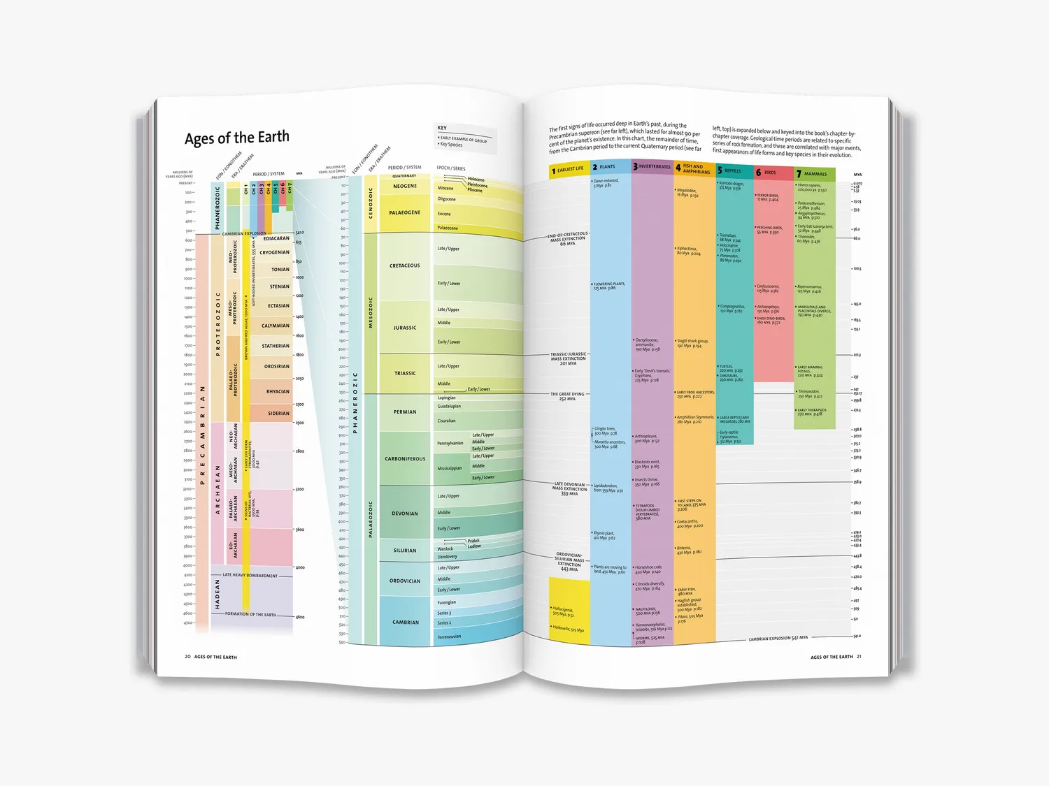 Thames & Hudson Evolution fagbog hele historien illustreret
