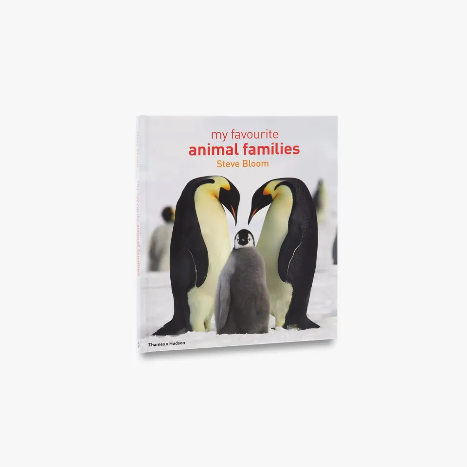 Thames & Hudson My Favourite Animal Families børnebog om dyreunger