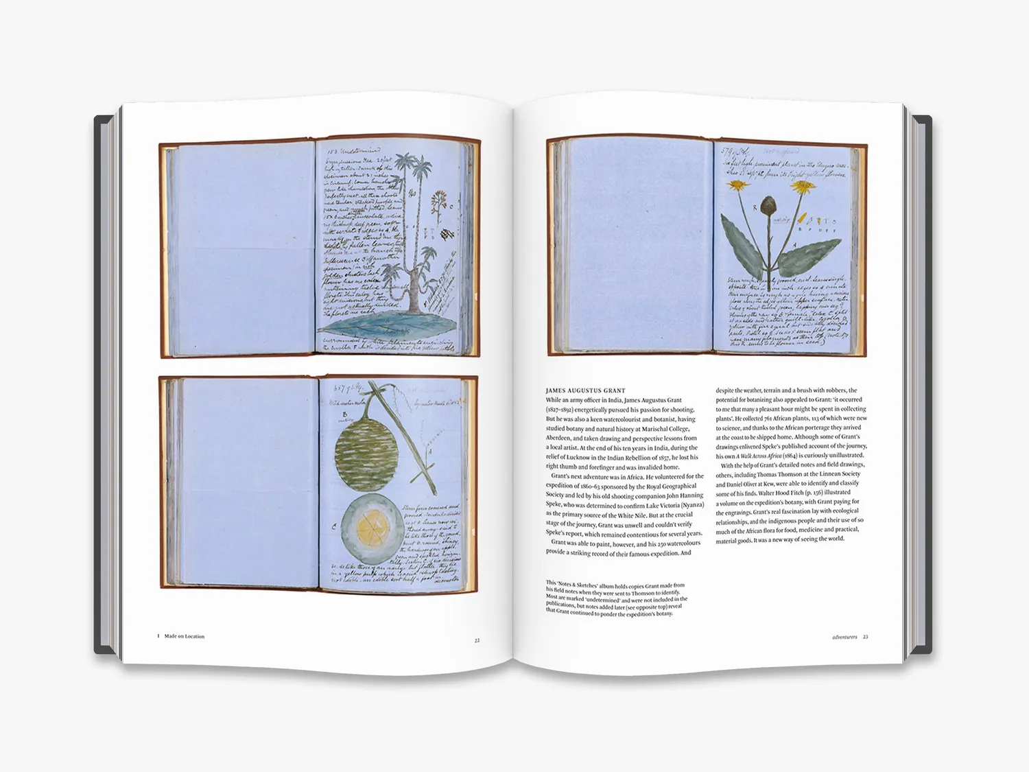 Thames & Hudson Botanical Sketchbooks bog botanisk kunst