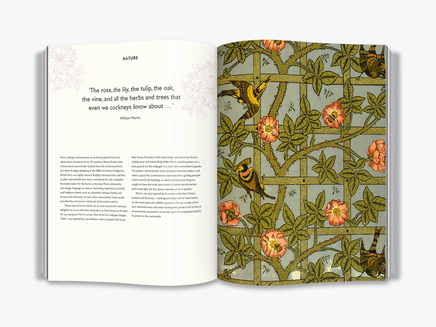 Thames & Hudson William Morris malebog V&A