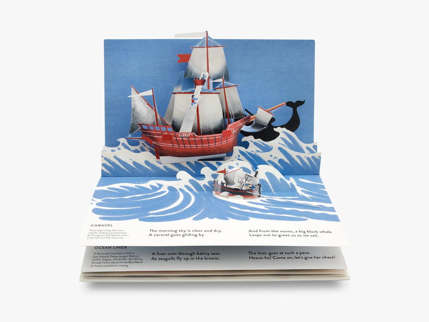 Thames & Hudson A Sea Voyage pop-op bog skibe