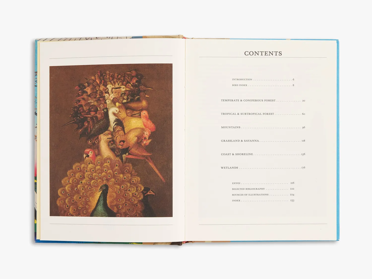 Thames & Hudson The Secret Language of Birds bog – symbolik