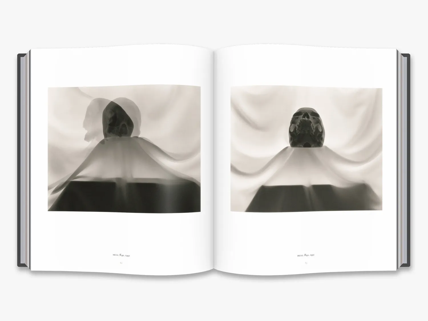 Thames & Hudson Skull Lynn Stern fotobog kranier
