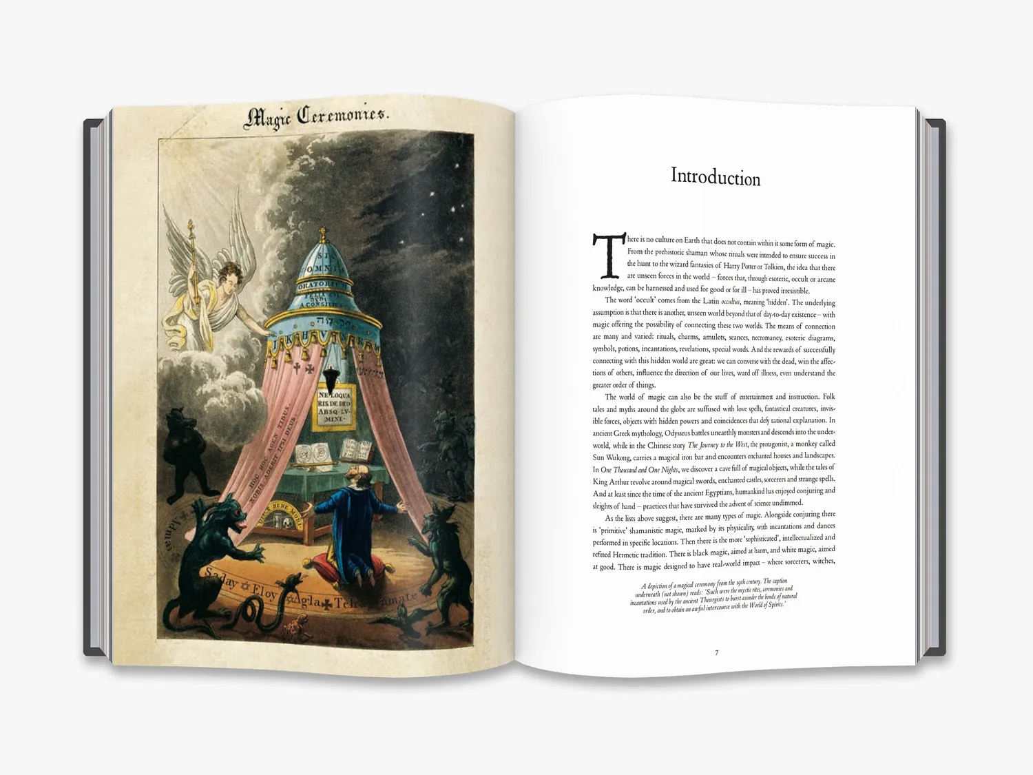 Thames & Hudson The Occult Witchcraft Magic bog magi