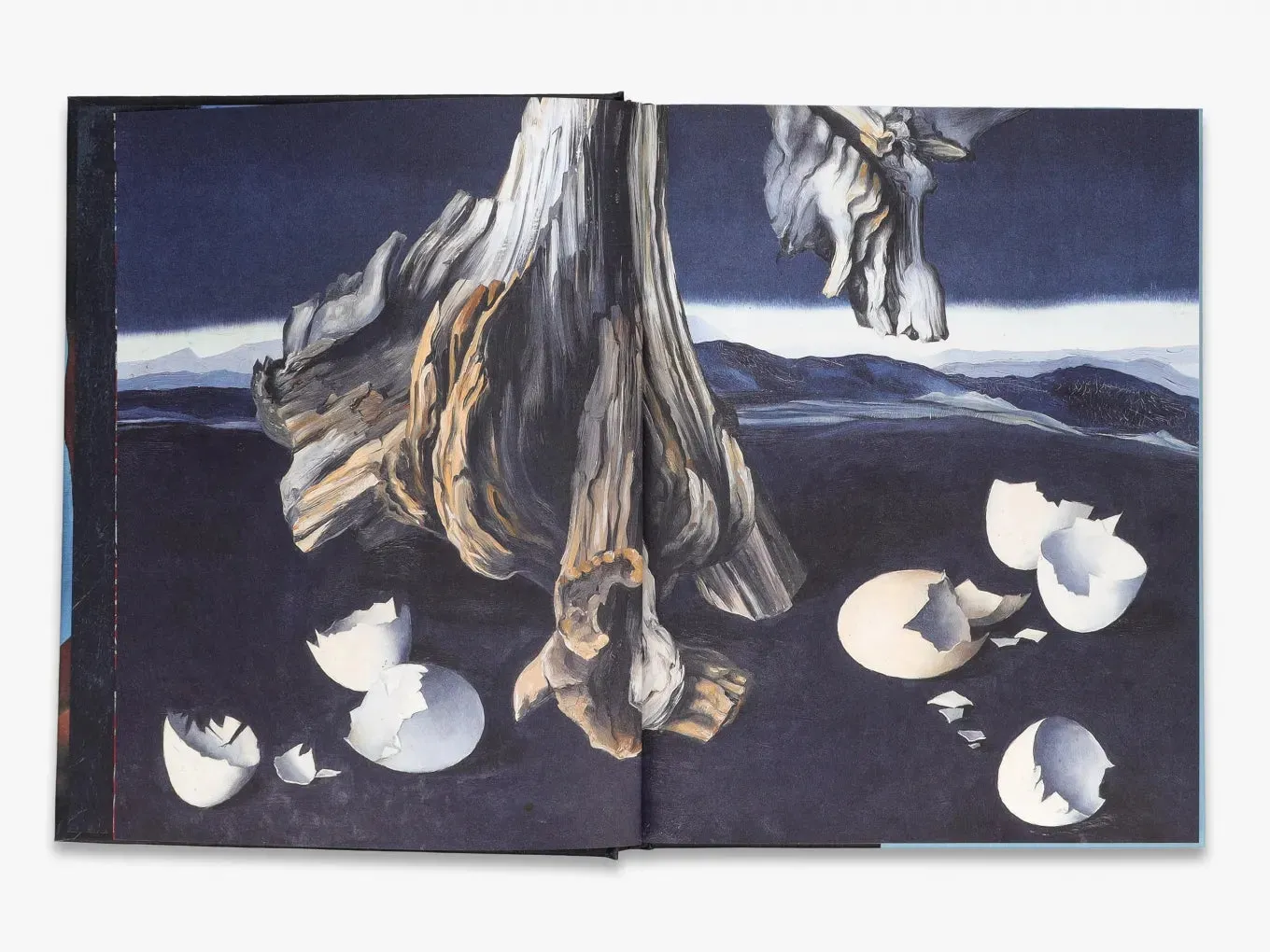 Thames & Hudson Forbidden Territories kunstbog om surrealisme
